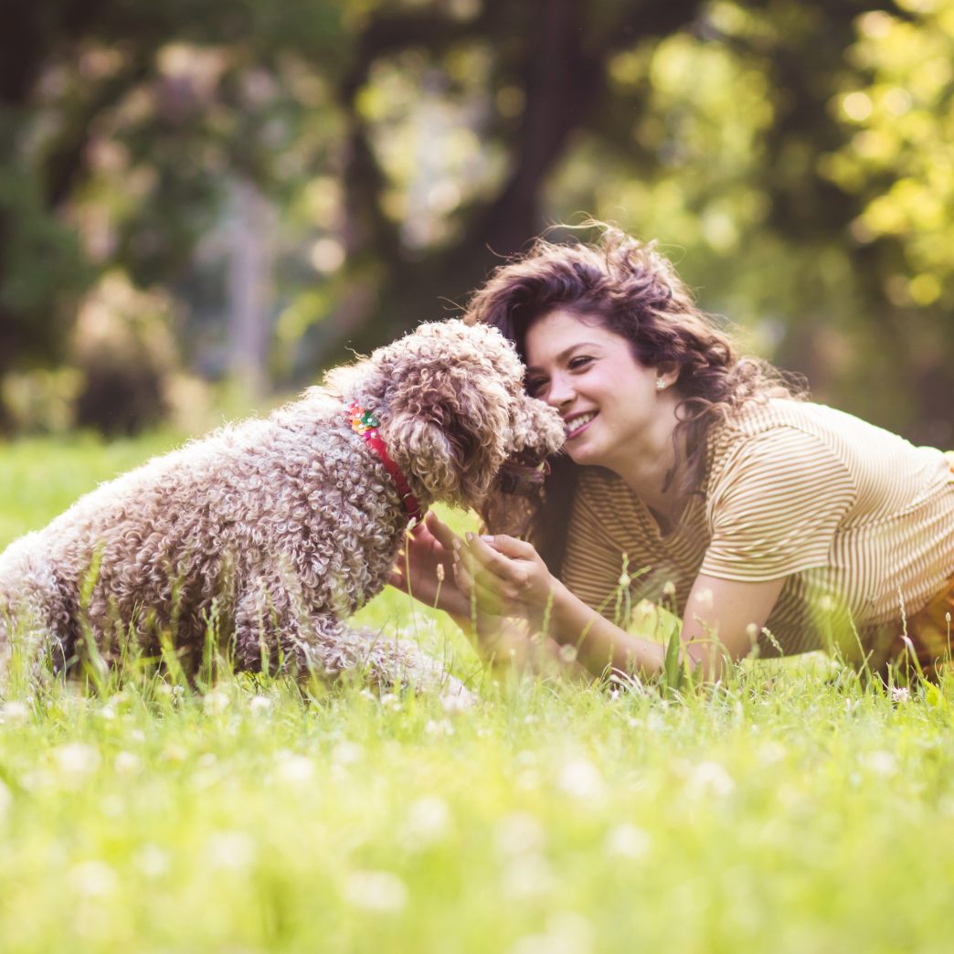 Hunde nehmen laut einer Studie Menschen so wahr wie Artgenossen.