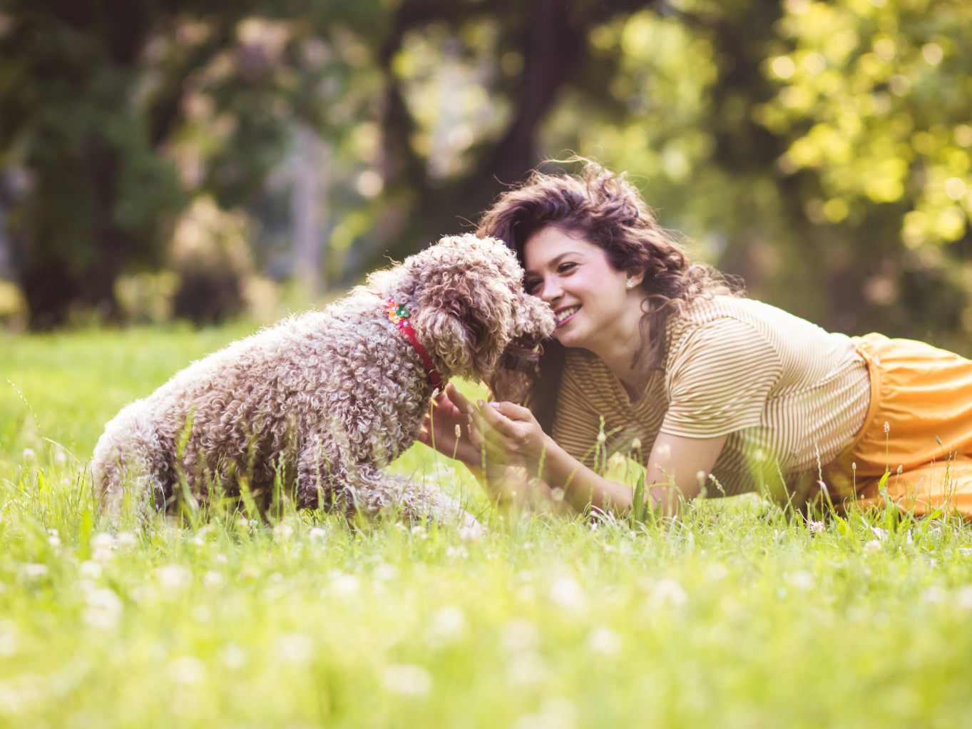 Hunde nehmen laut einer Studie Menschen so wahr wie Artgenossen. Hunde nehmen laut einer Studie Menschen so wahr wie Artgenossen.