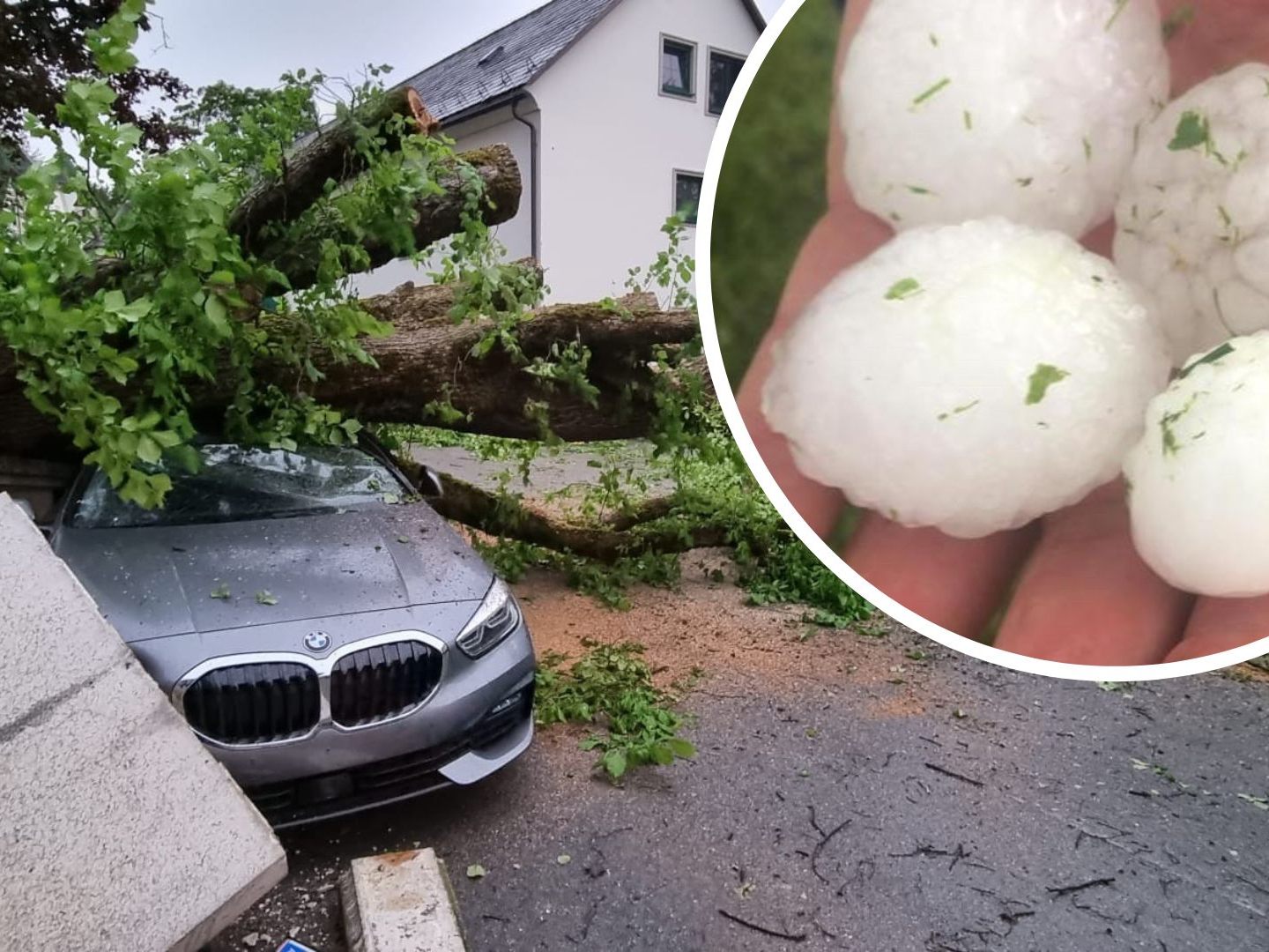 Entwurzelte Bäume im Bezirk Liezen, golfballgroßer Hagel in Kärnten. Entwurzelte Bäume im Bezirk Liezen, golfballgroßer Hagel in Kärnten.