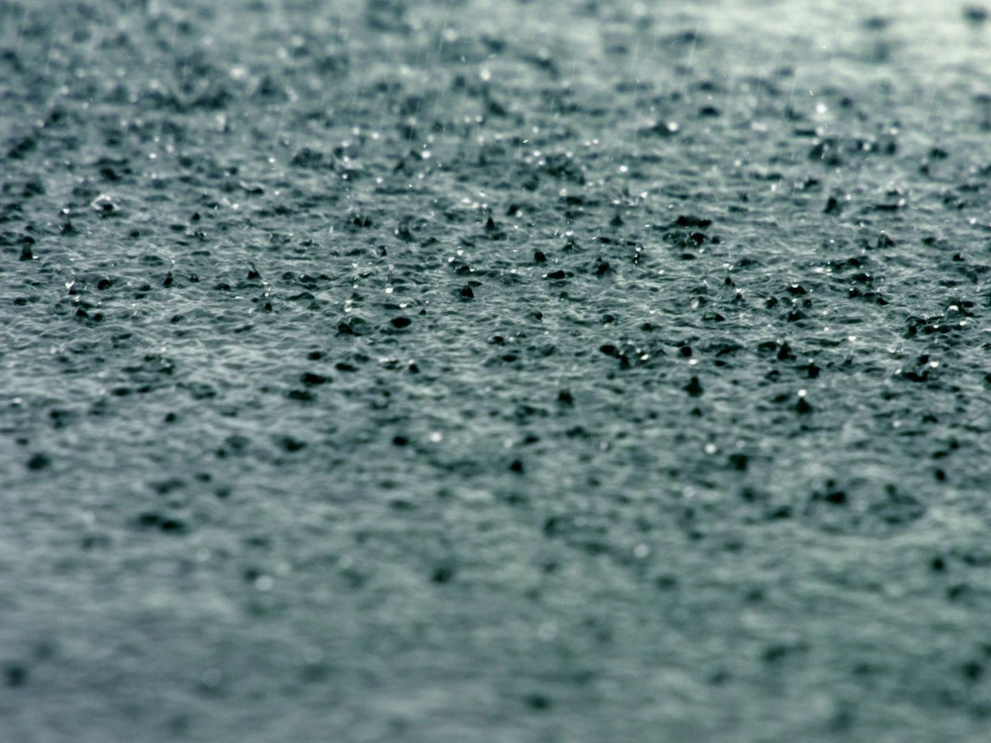 Neusiedler See wurde von Regenfällen weiter gefüllt. Neusiedler See wurde von Regenfällen weiter gefüllt.