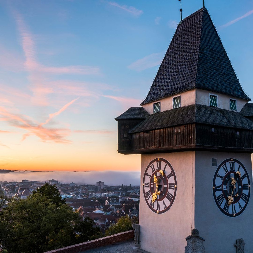 Asiatische Tigermücke: Stadt Graz gibt Tipps zur Eindämmung.
