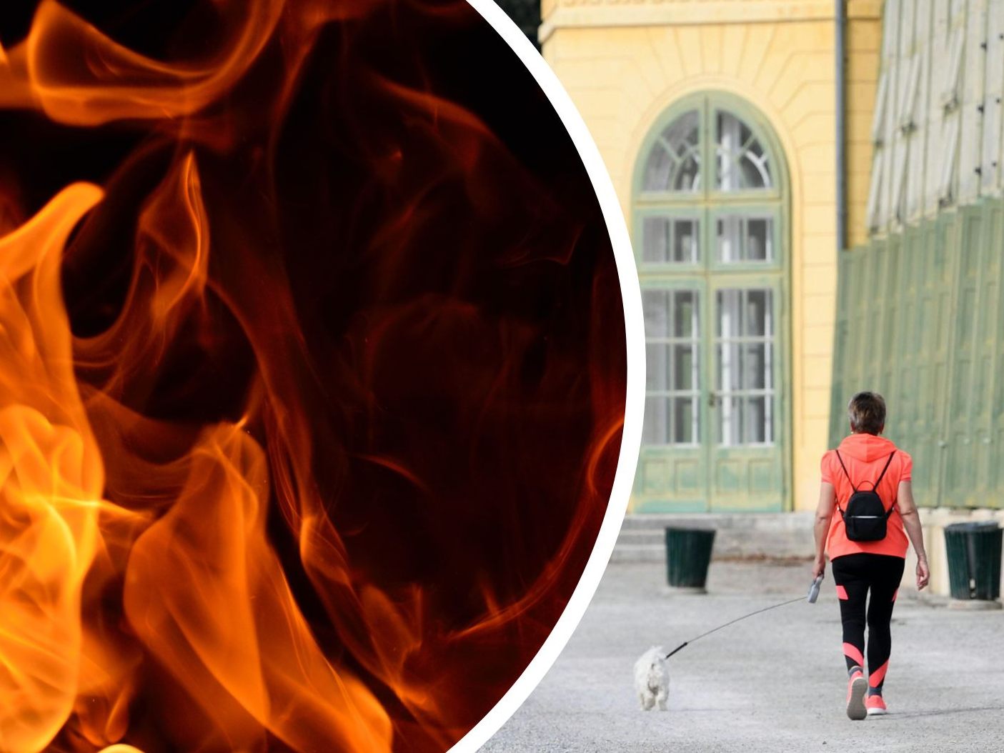 Im Eisenstädter Schlosspark brannte eine Böschung.