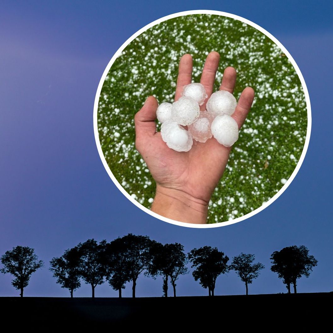 Die vergangene Unwetter in Österreich richteten 1,6 Millionen Euro Schaden an.