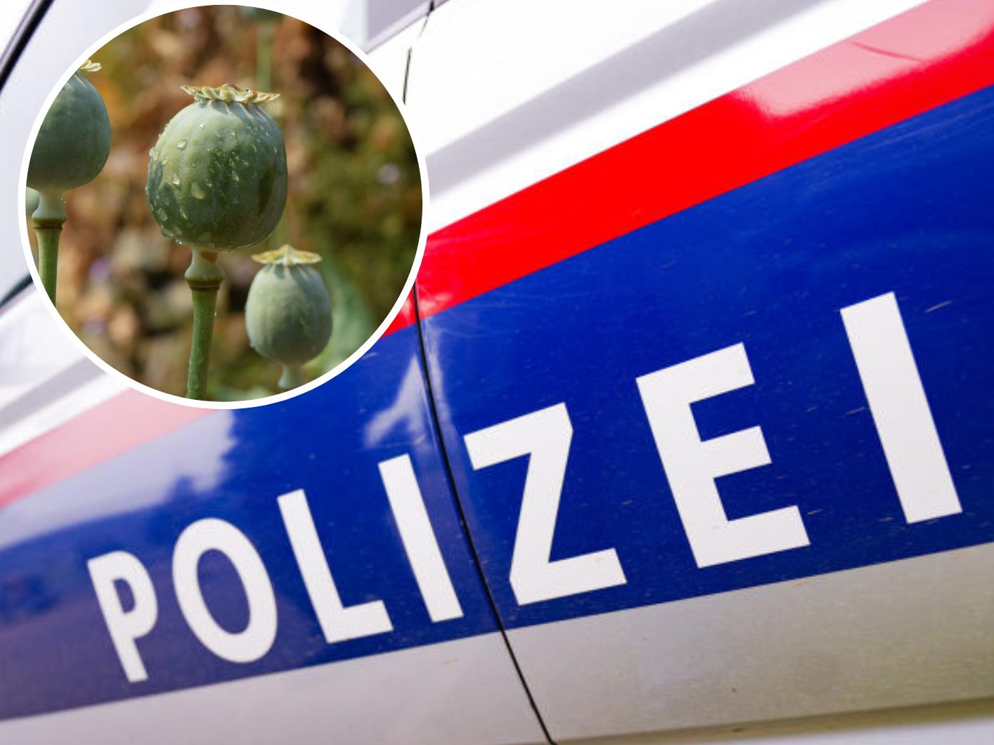 Ein ganzer Familienverband dealte von Wien aus mit Opiumsticks. Ein ganzer Familienverband dealte von Wien aus mit Opiumsticks.