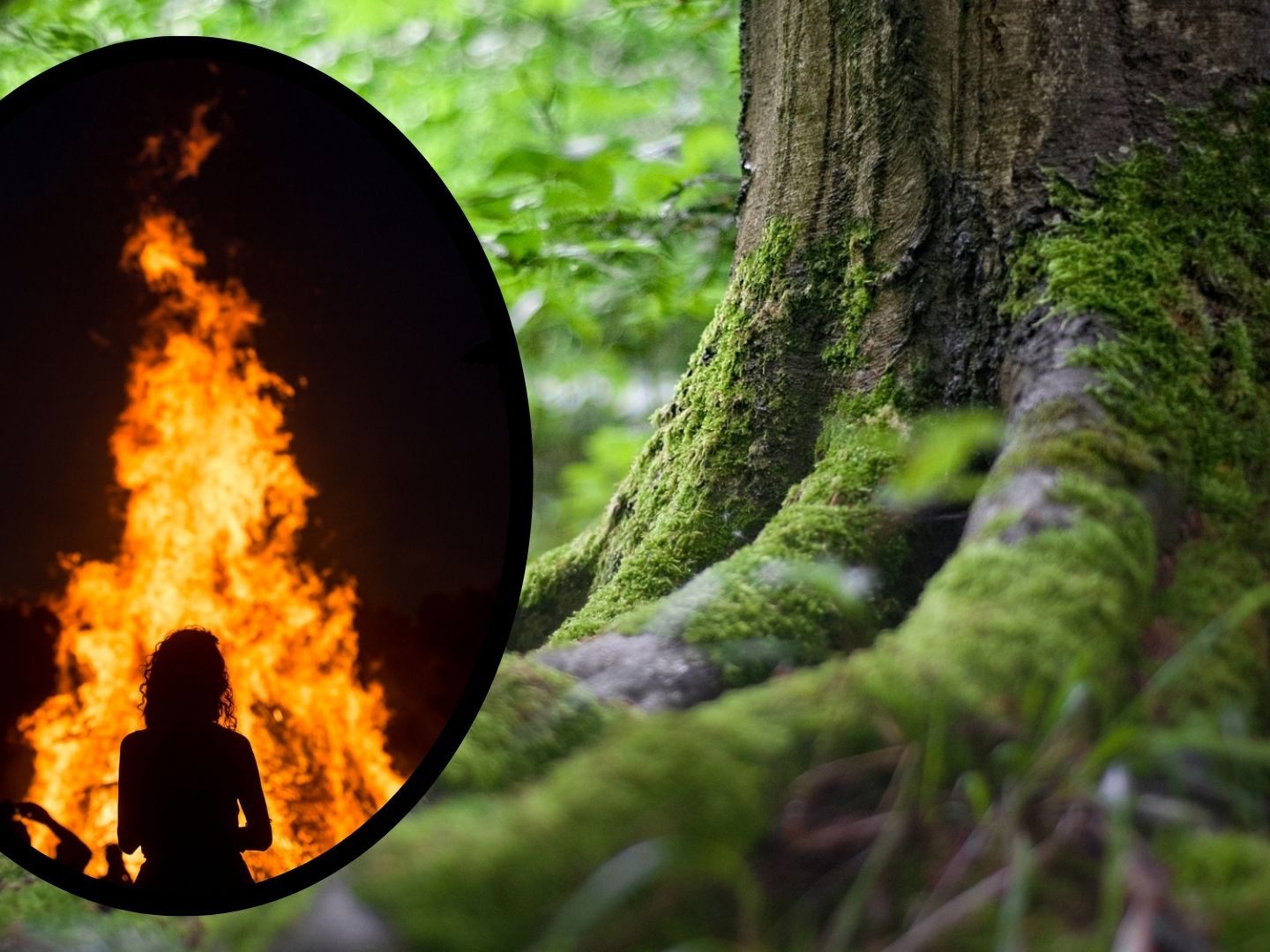 Die Waldbrandgefahr in Vorarlberg ist erhöht. Die Waldbrandgefahr in Vorarlberg ist erhöht.