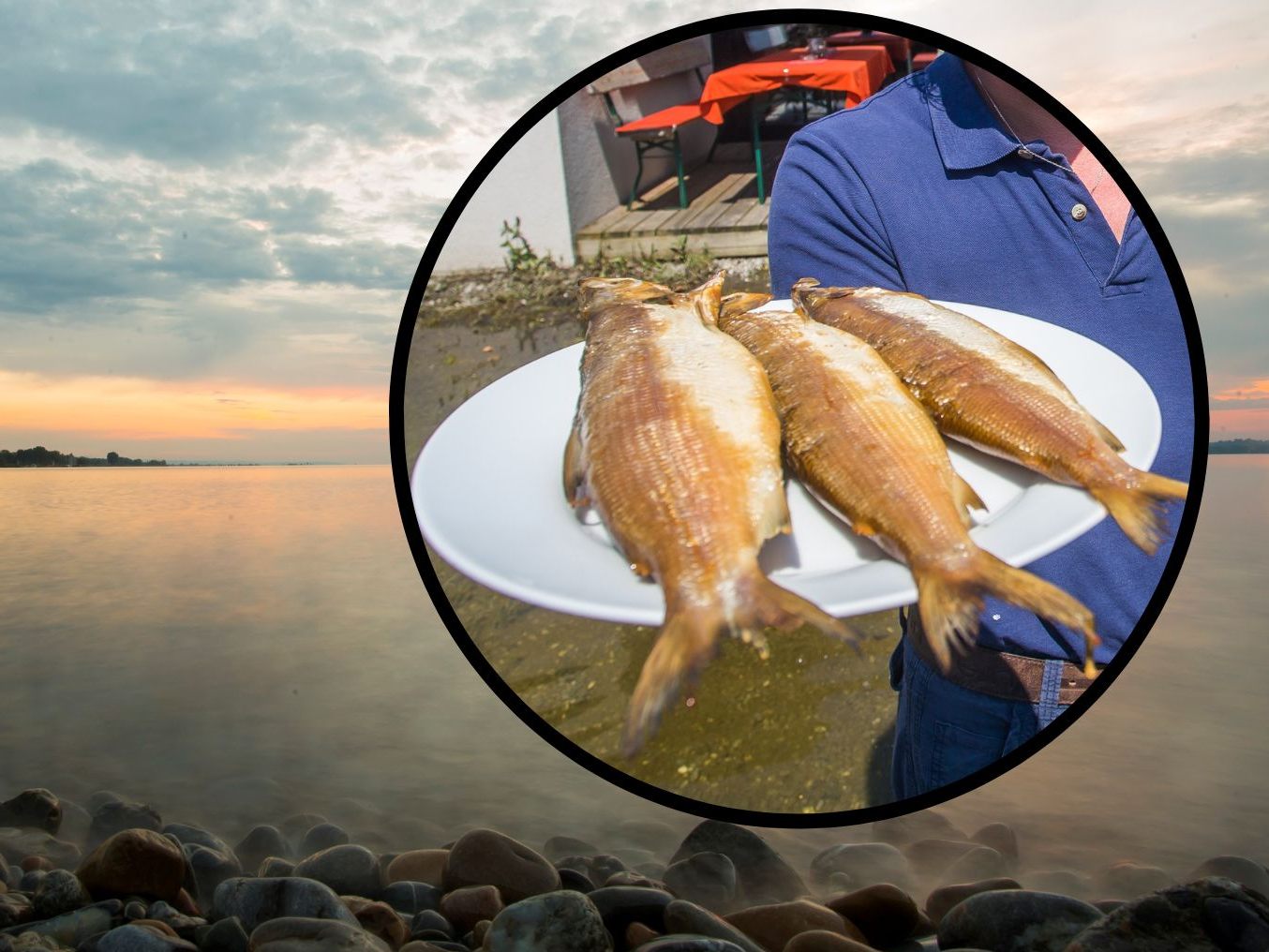 Die kommenden drei Jahre dürfen im Bodensee keine Felchen gefangen werden. Die kommenden drei Jahre dürfen im Bodensee keine Felchen gefangen werden.