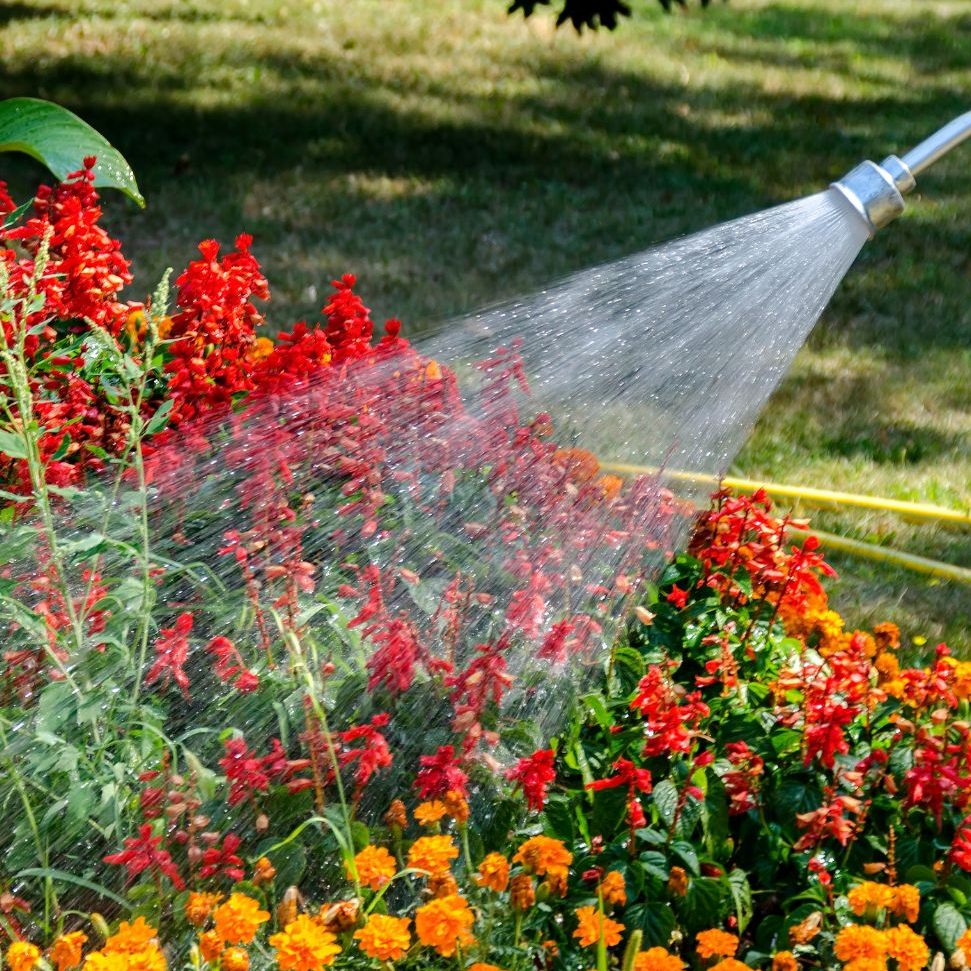 Die anhaltende Trockenheit macht sich auch im Ländle bemerkbar.