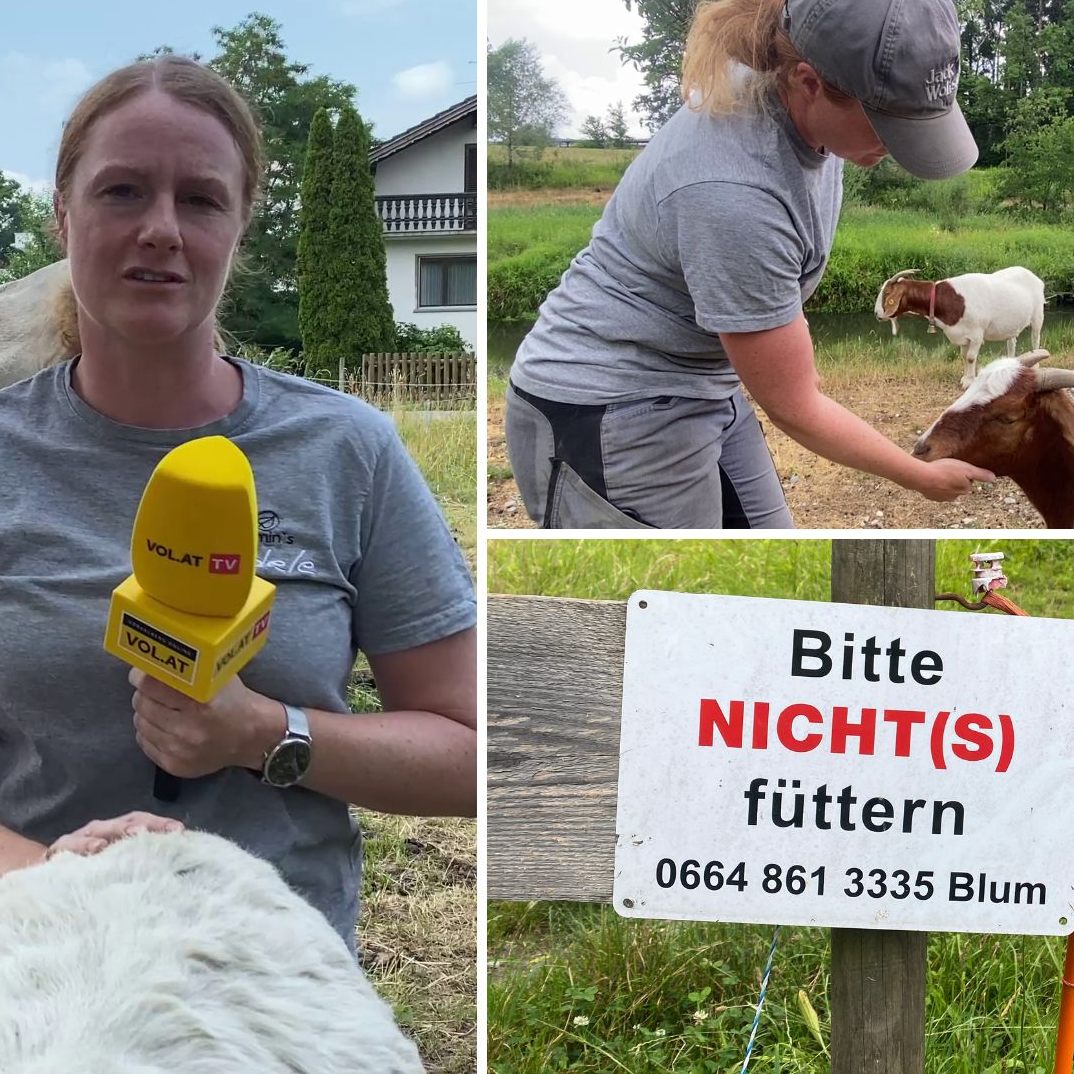 Stefanie Blum verlor durch Fremdfütterung vier Ziegen, immer wieder werden Tiere krank.