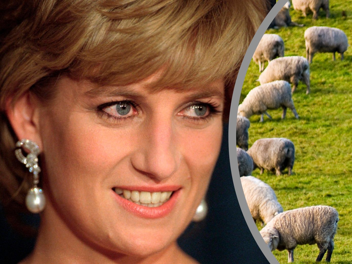 Vor 25 Jahren starb Prinzessin Diana. Vor 25 Jahren starb Prinzessin Diana.
