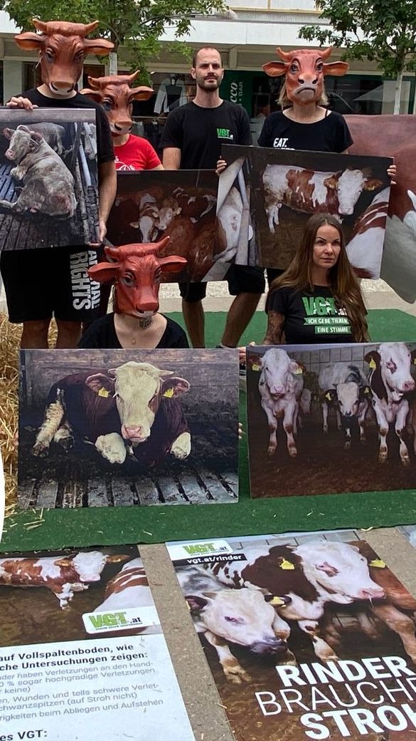 Der Verein gegen Tierfabriken war mit einer neuen Aktion am Leutbühel aktiv.