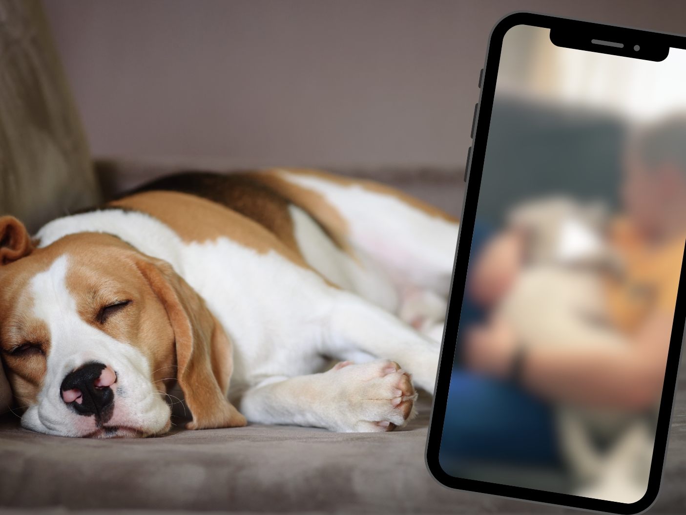 Beste Freunde fürs Leben.