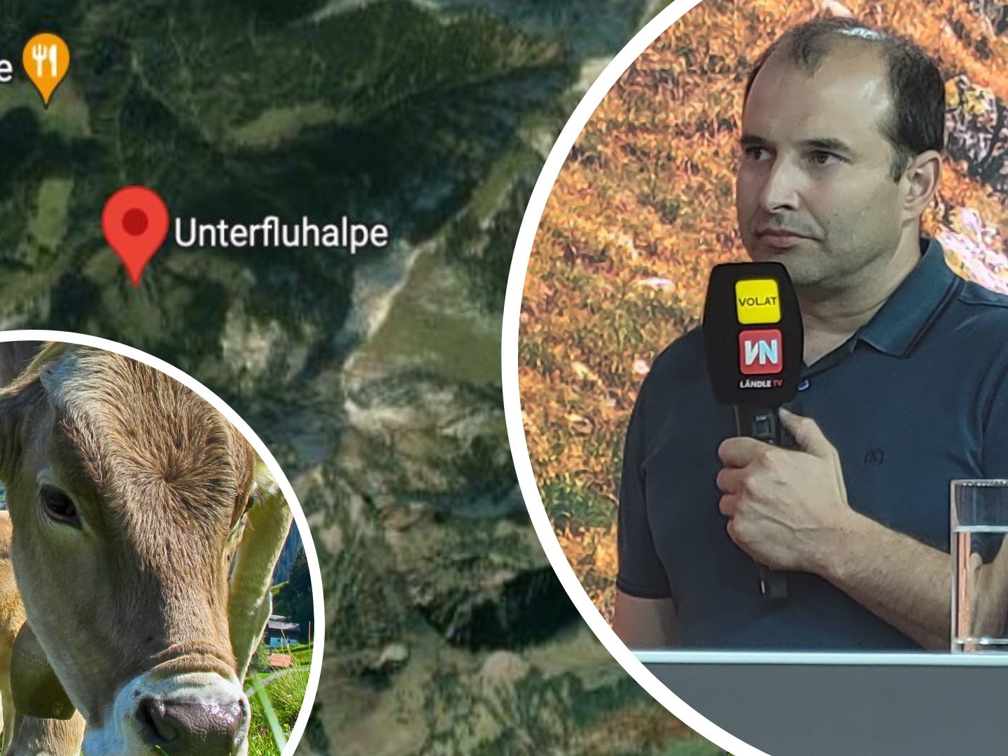 Christoph Freuis zu Gast im "Vorarlberg LIVE"-Studio. Christoph Freuis zu Gast im "Vorarlberg LIVE"-Studio.