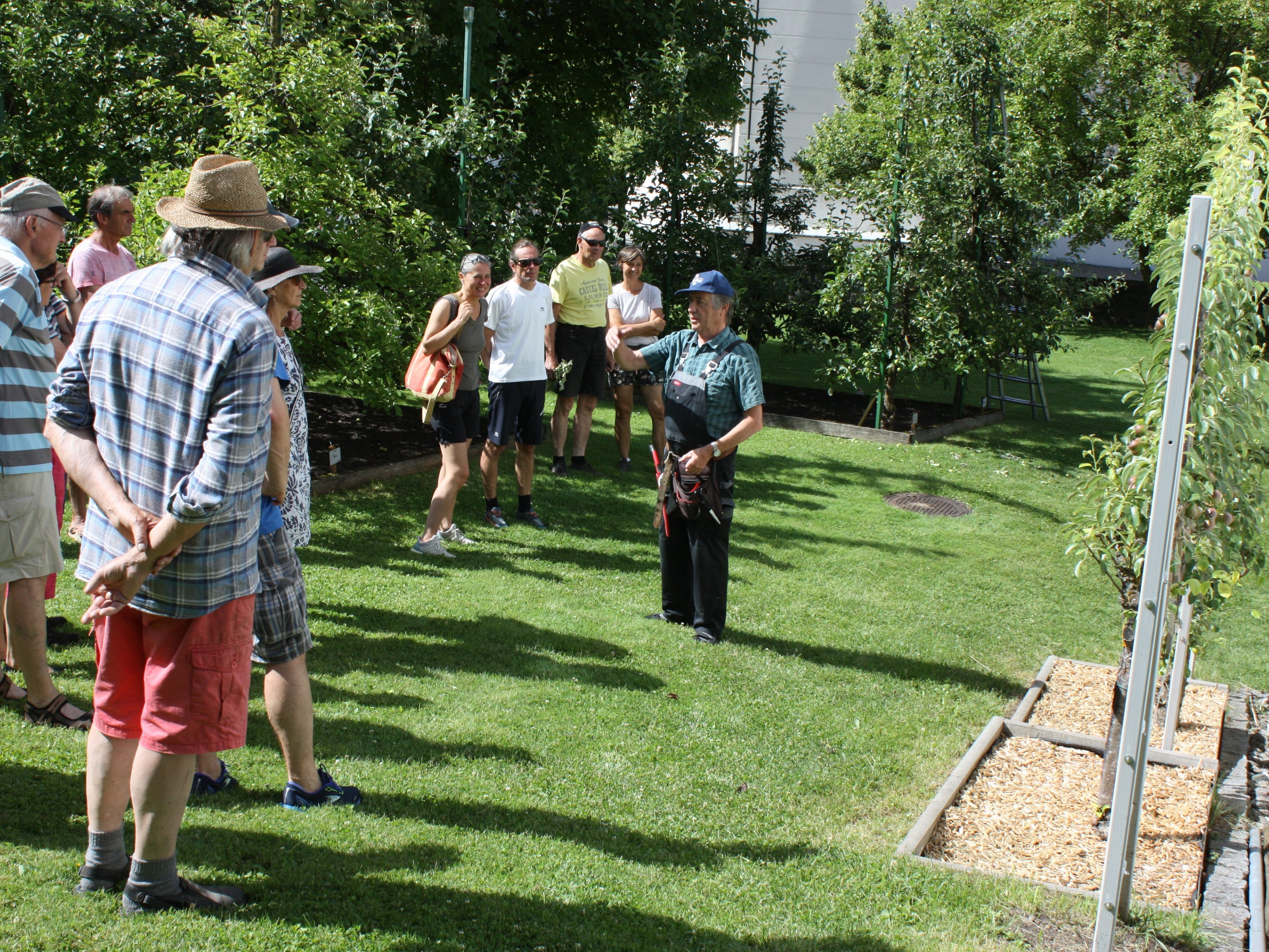 Sommerschnittkurs