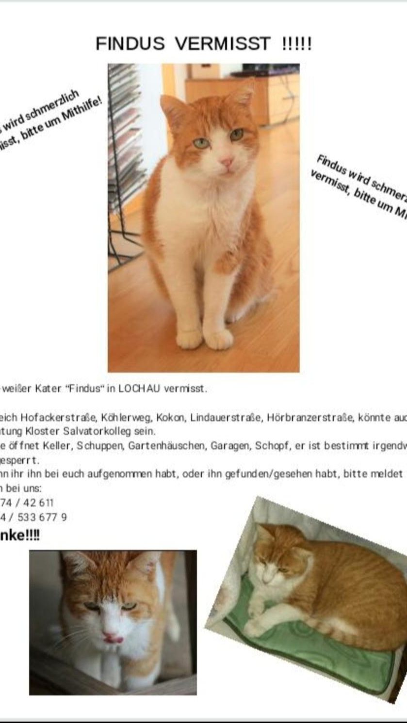 Findus