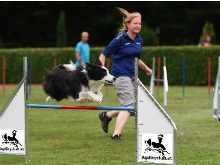 Claudia Woblistin mit Lui im Parcours. Claudia Woblistin mit Lui im Parcours.
