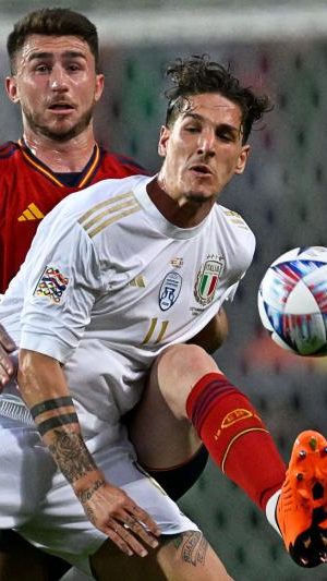 Spanien steht im Finale