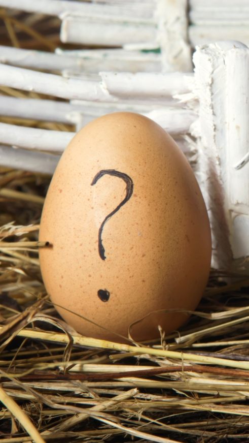 Huhn oder Ei?