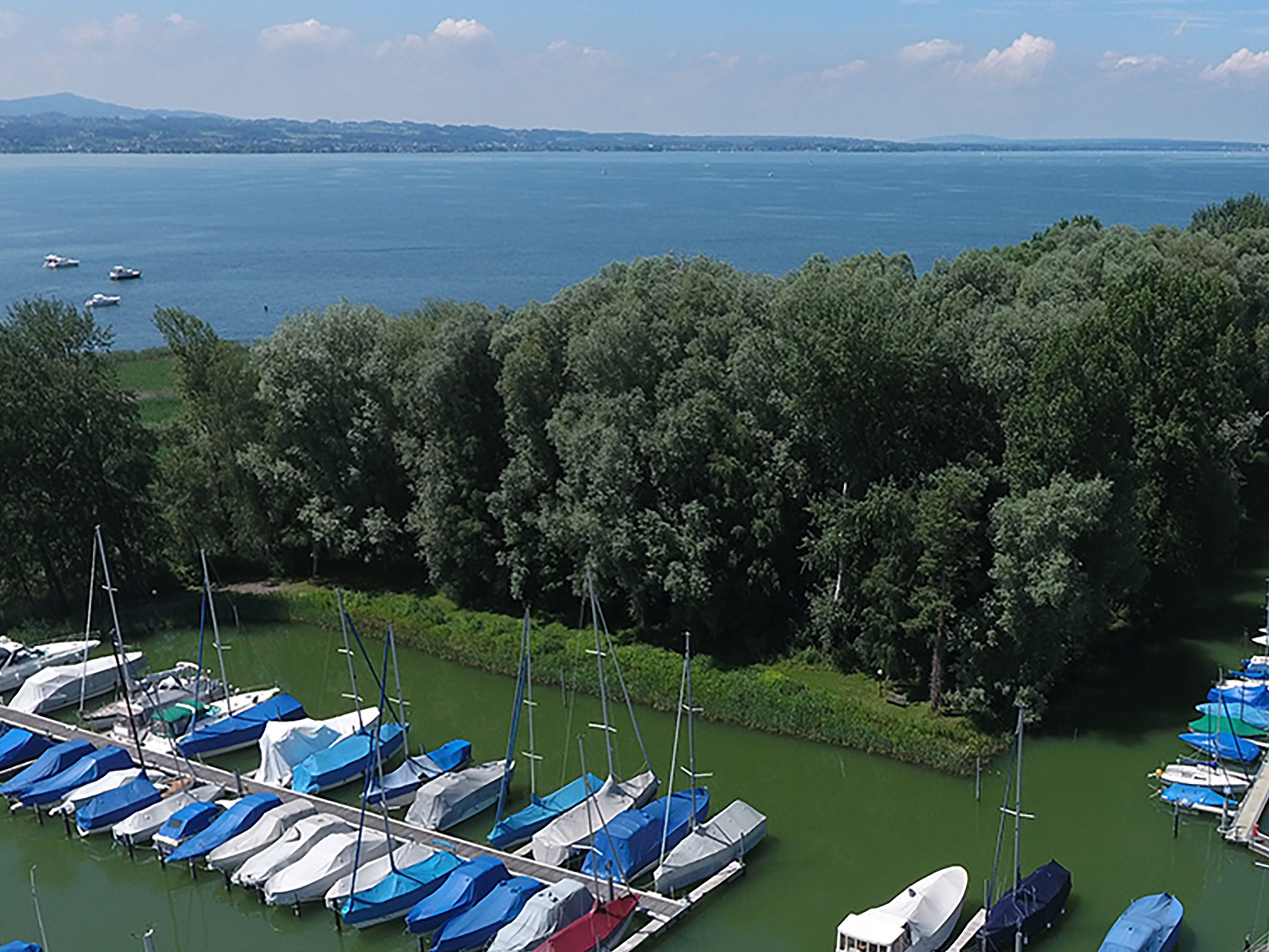 14-Jähriger stieg von Segelschiff zum Baden in den Bodensee und verschwand.