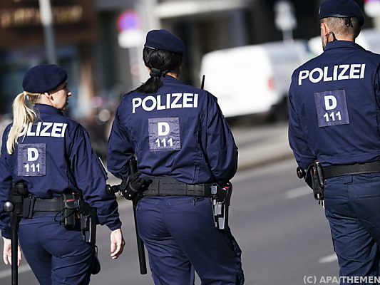 Anzeigen und ein verletzter Polizist nach Identitären-Demo