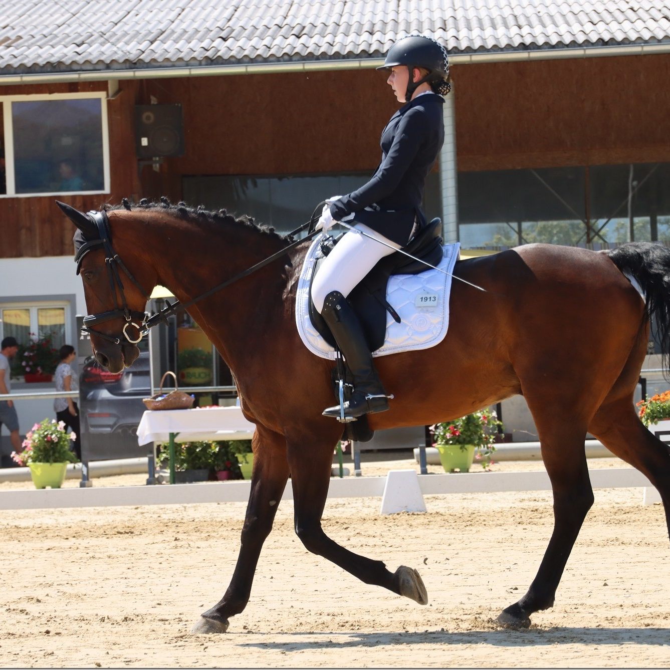 Der Deutsche Marcel Wolf dominierte die Dressurbewerbe am Pferdehof Bösch in Rankweil.