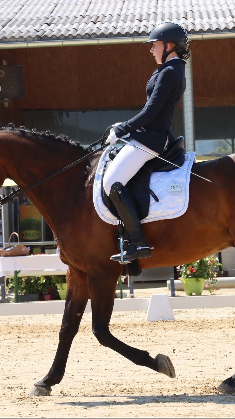 Der Deutsche Marcel Wolf dominierte die Dressurbewerbe am Pferdehof Bösch in Rankweil.