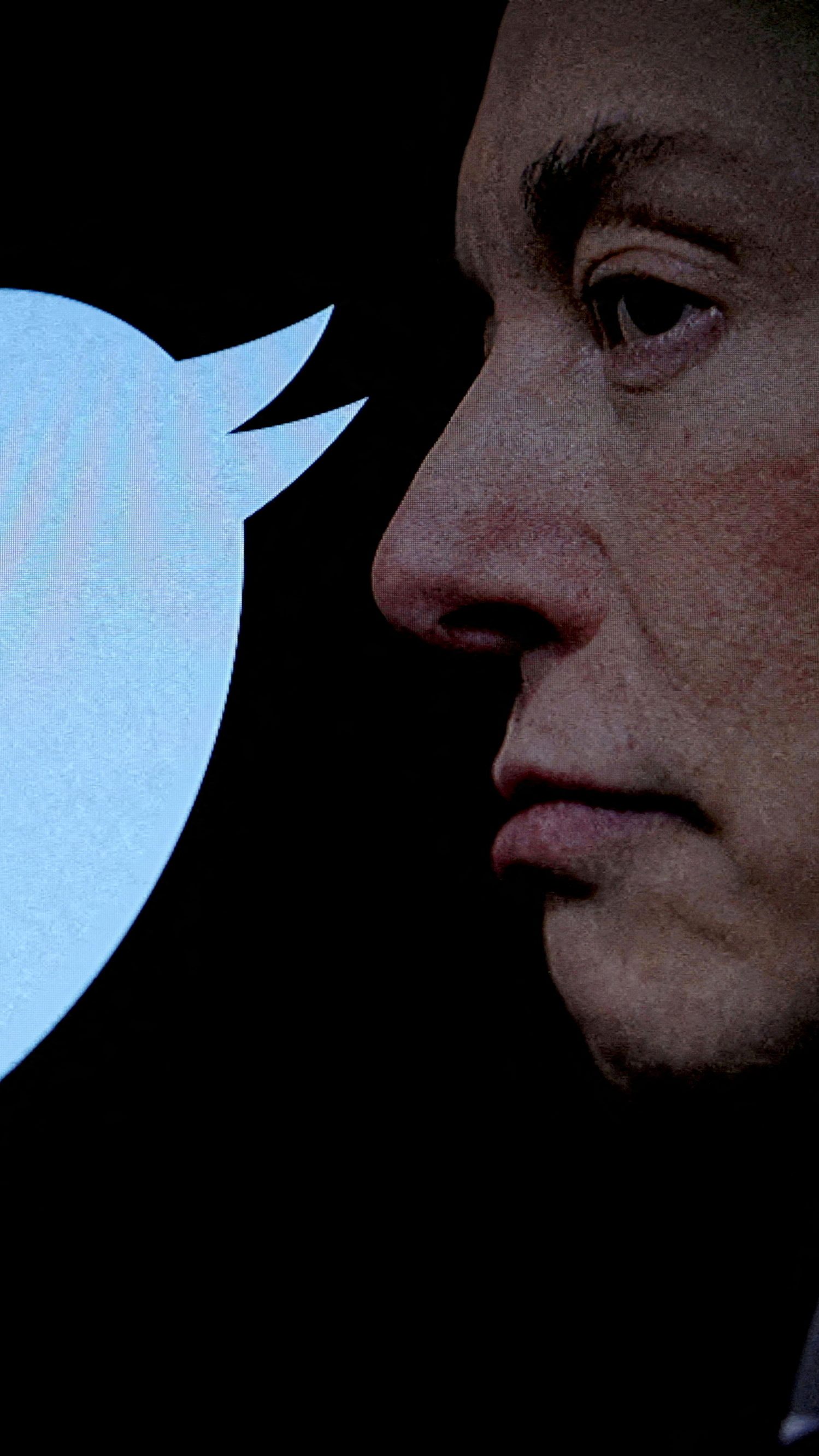 Musk verhängt Tageslimits für das Lesen von Tweets.