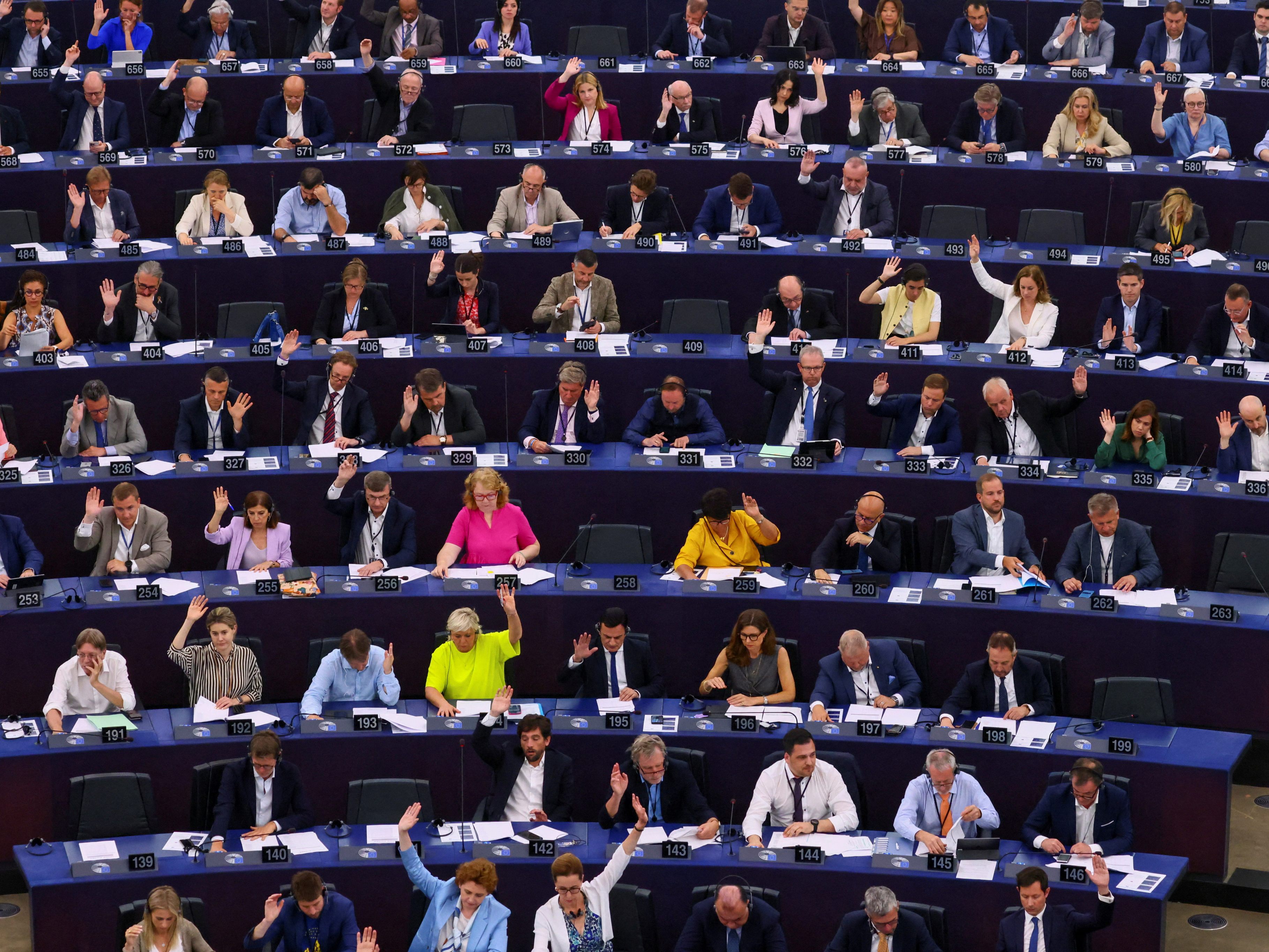 Das EU-Parlament stimmt über das Renaturierungsgesetz ab. Das EU-Parlament stimmt über das Renaturierungsgesetz ab.