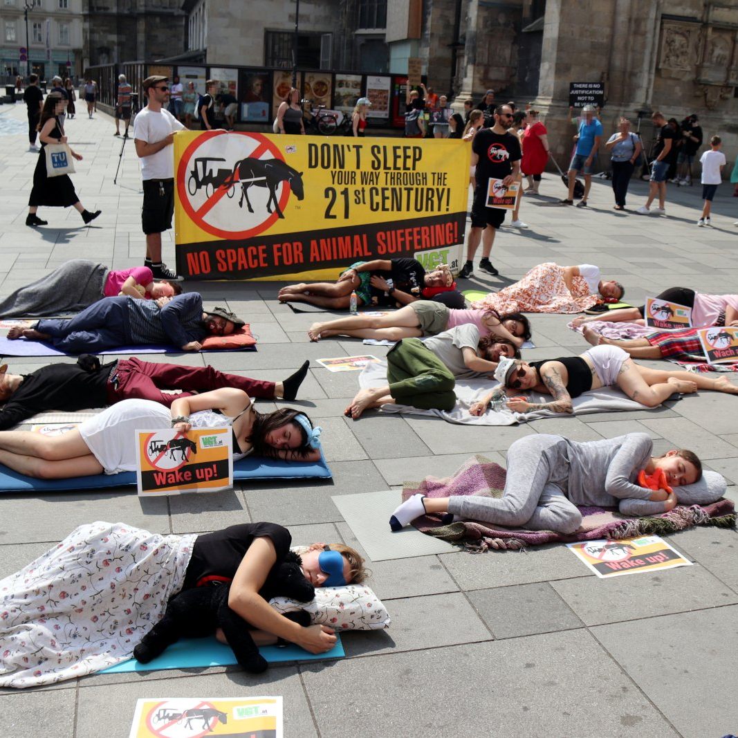 "Sleep-In" der Aktivisten am Wiener Stephansplatz.
