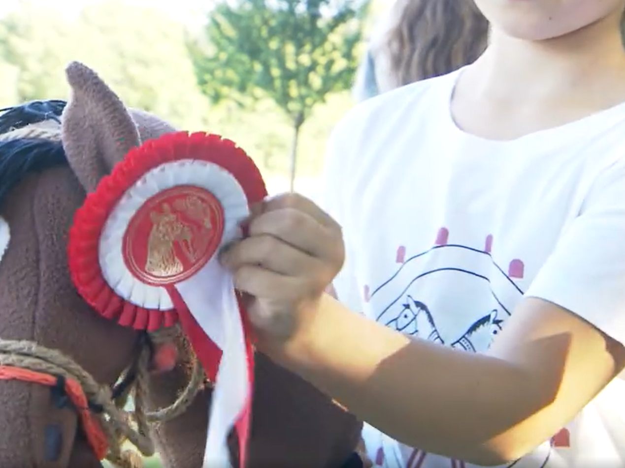 "Hobby-Horsing"ist auch in Österreich angekommen. "Hobby-Horsing"ist auch in Österreich angekommen.
