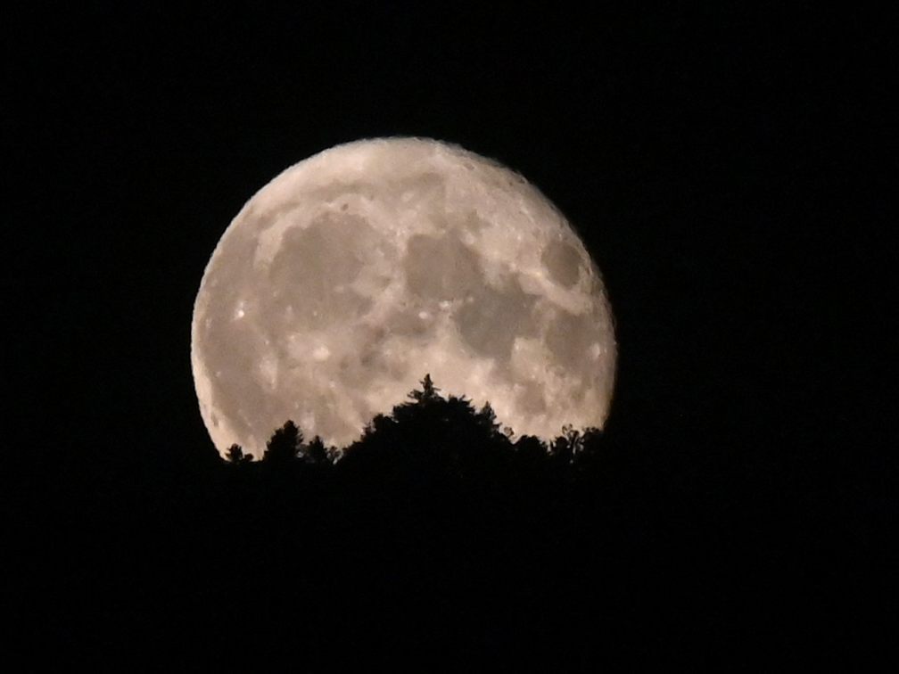 Wer in der Nacht auf Dienstag lange wach war, konnte den Supermond bestaunen.