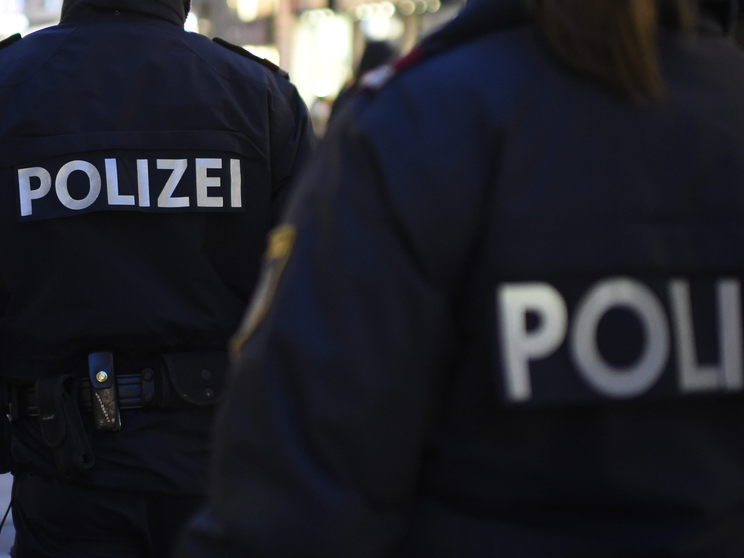 Die Polizei vereiteilte einen Einbruch in ein Fahrgeschäft. Die Polizei vereiteilte einen Einbruch in ein Fahrgeschäft.