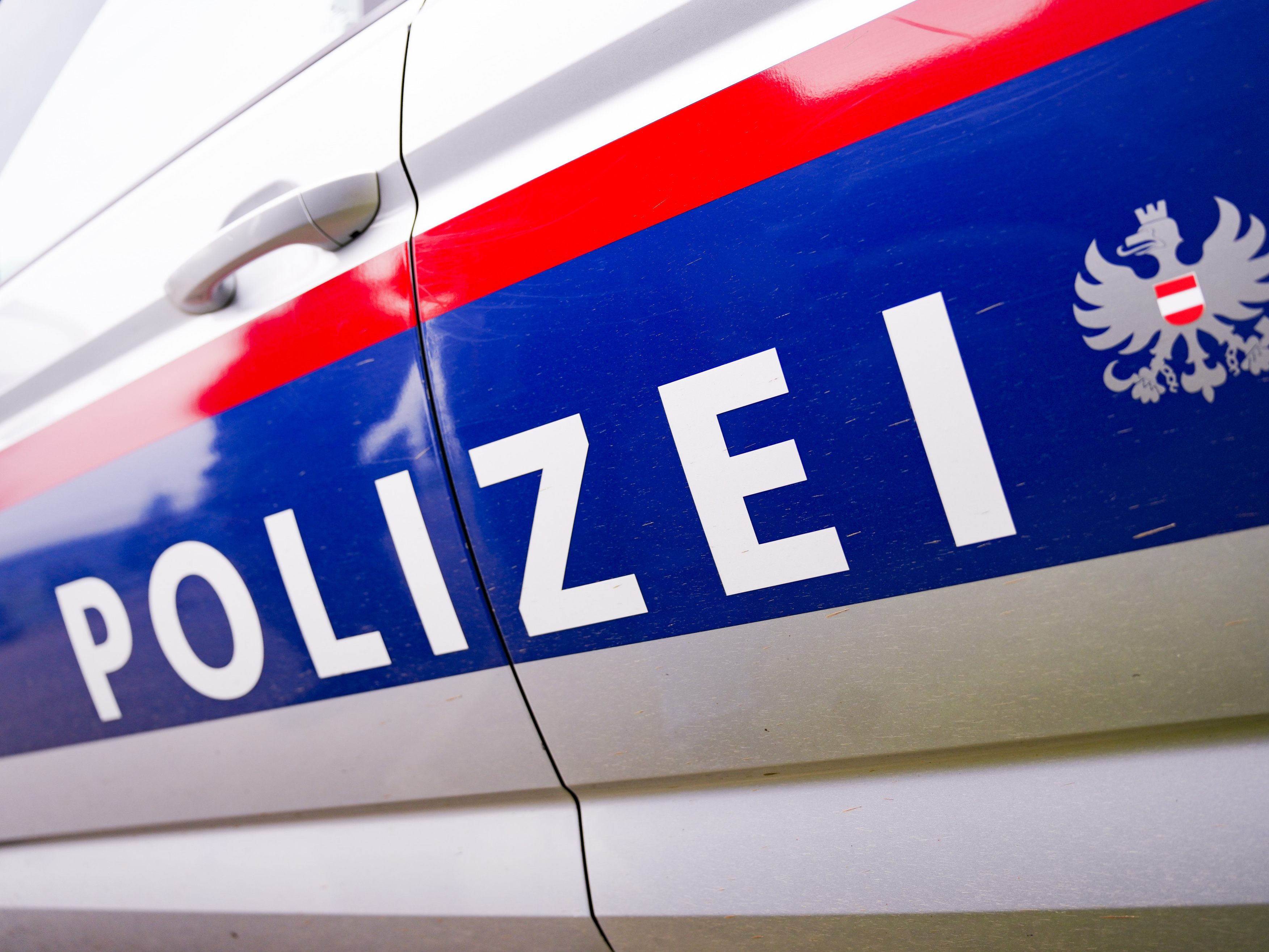 Im Fall der getöteten Kinder in NÖ wurde ein psychiatrisches Gutachten beauftragt. Im Fall der getöteten Kinder in NÖ wurde ein psychiatrisches Gutachten beauftragt.