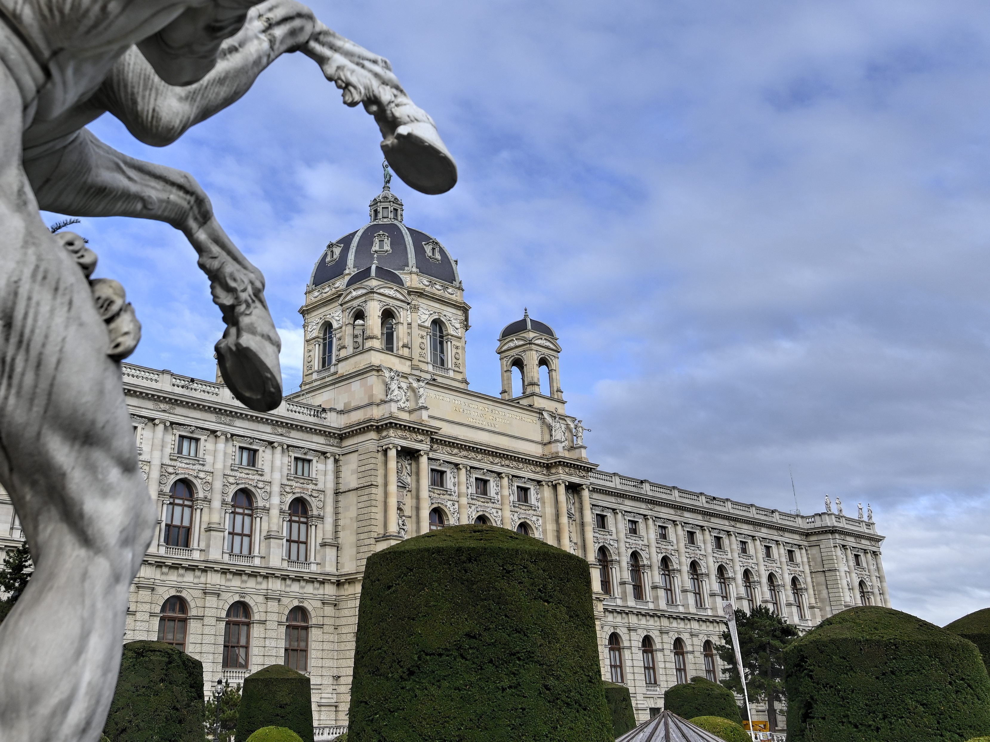 Das NHM versteigert die Ausstattung des Mikrokosmos-Saals. Das NHM versteigert die Ausstattung des Mikrokosmos-Saals.