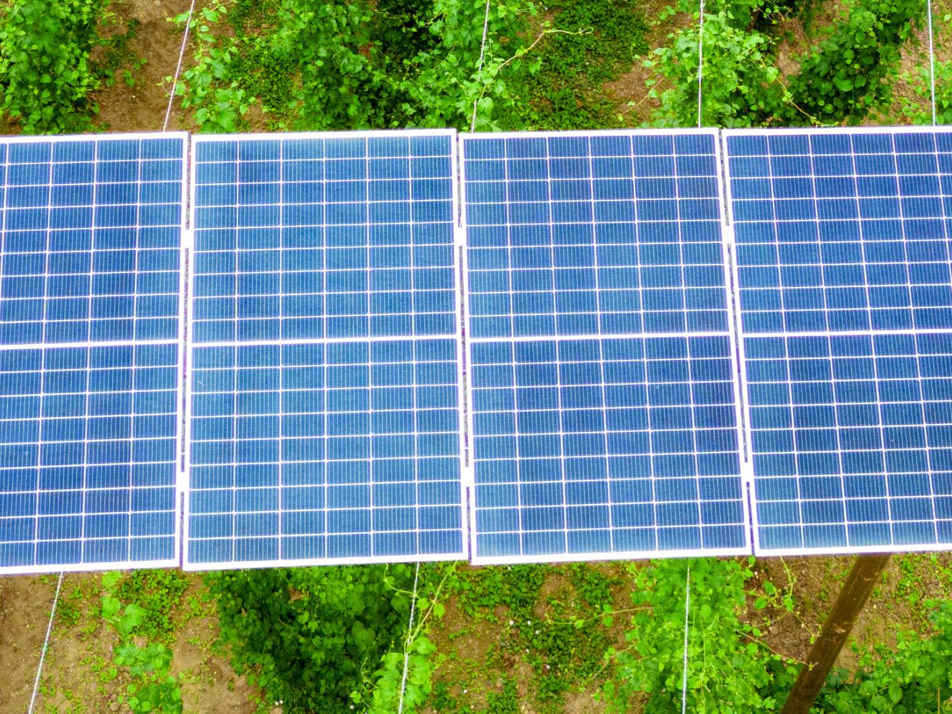 Seit 2021 wurden 150 Erneuerbare Energiegemeinschaften gegründet. Seit 2021 wurden 150 Erneuerbare Energiegemeinschaften gegründet.