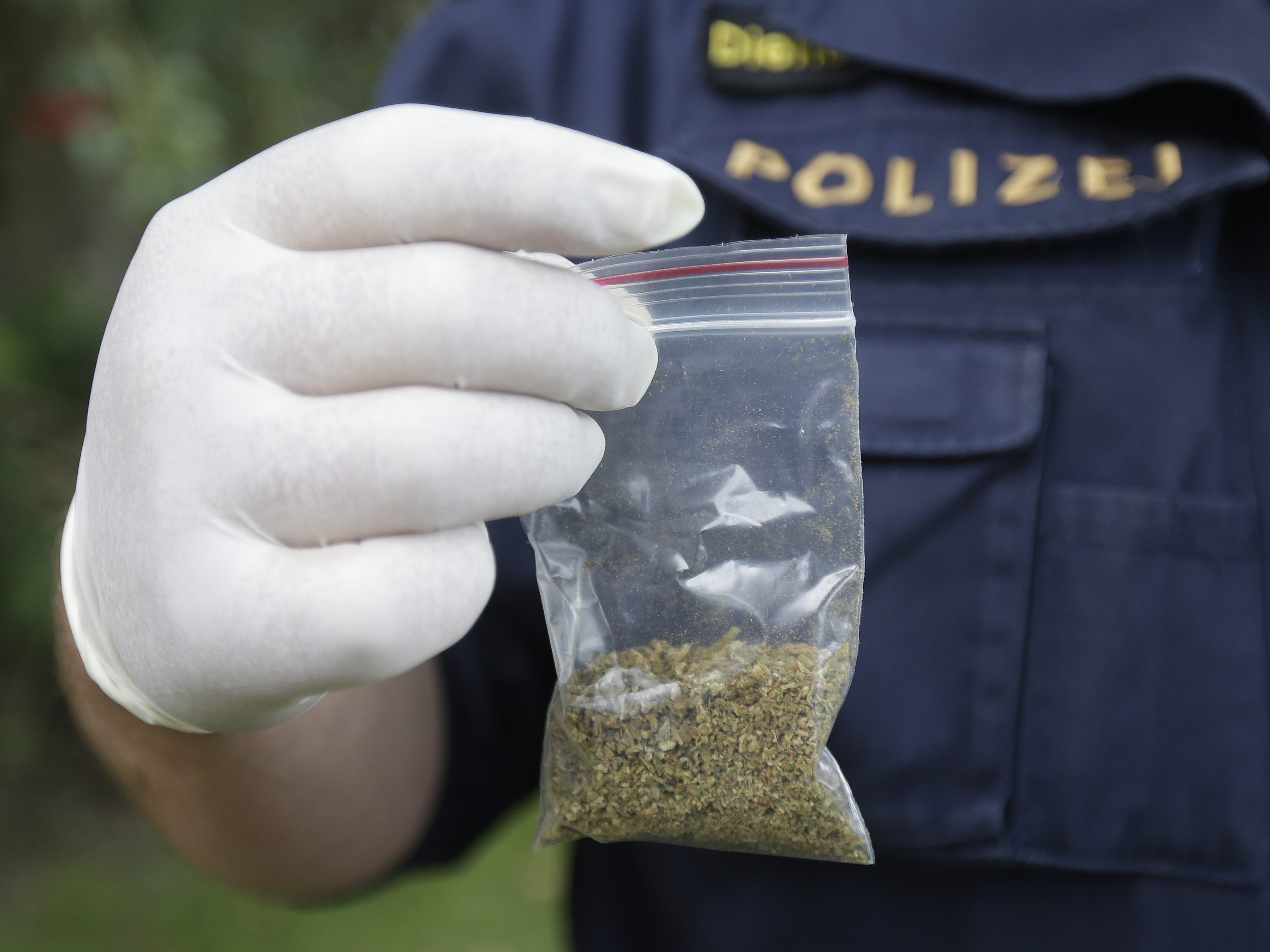 Drogendealer in Wien gefasst. Drogendealer in Wien gefasst.