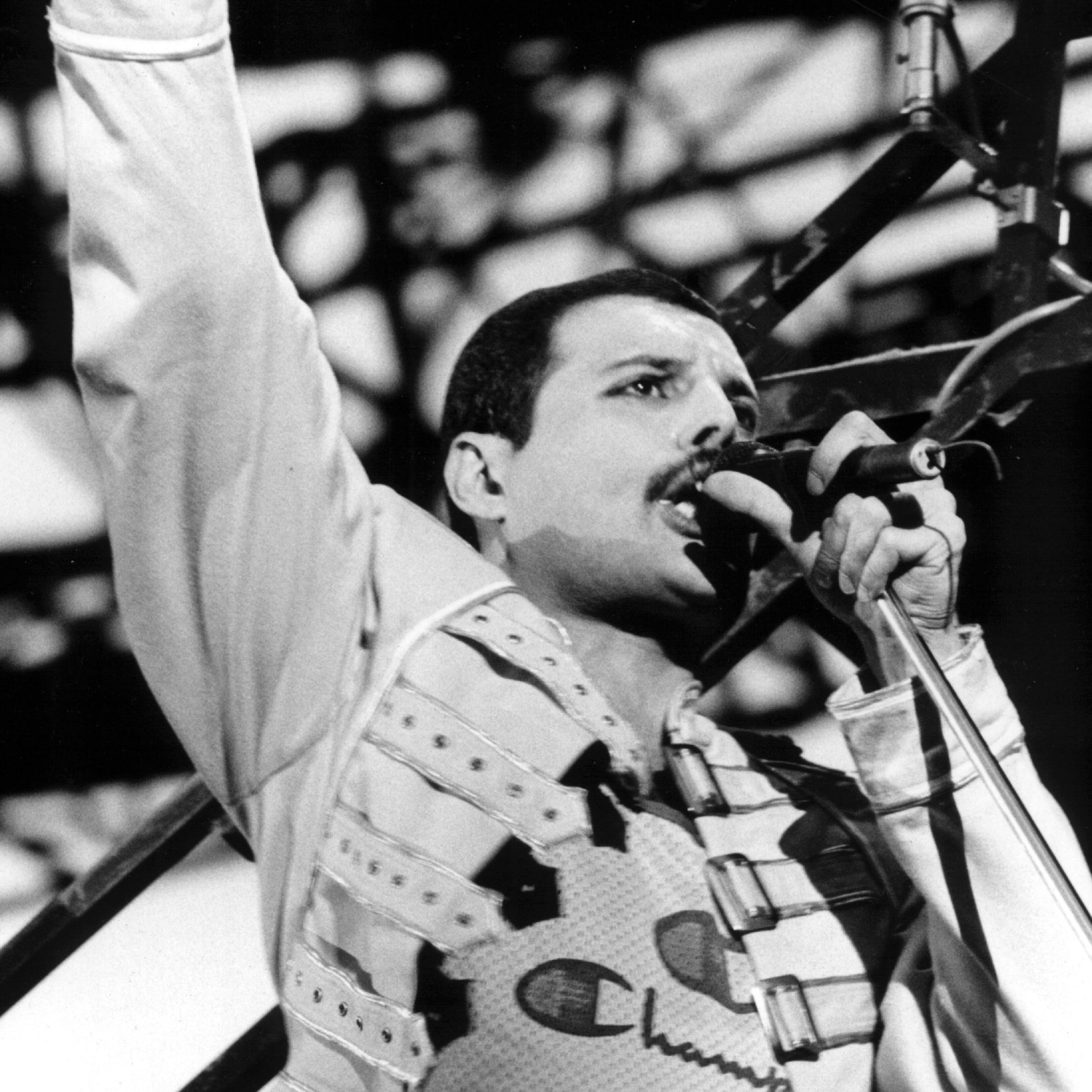 Später wurde er zum Star: Freddie Mercury musste mit seiner Band Queen einen holprigen Start hinnehmen.