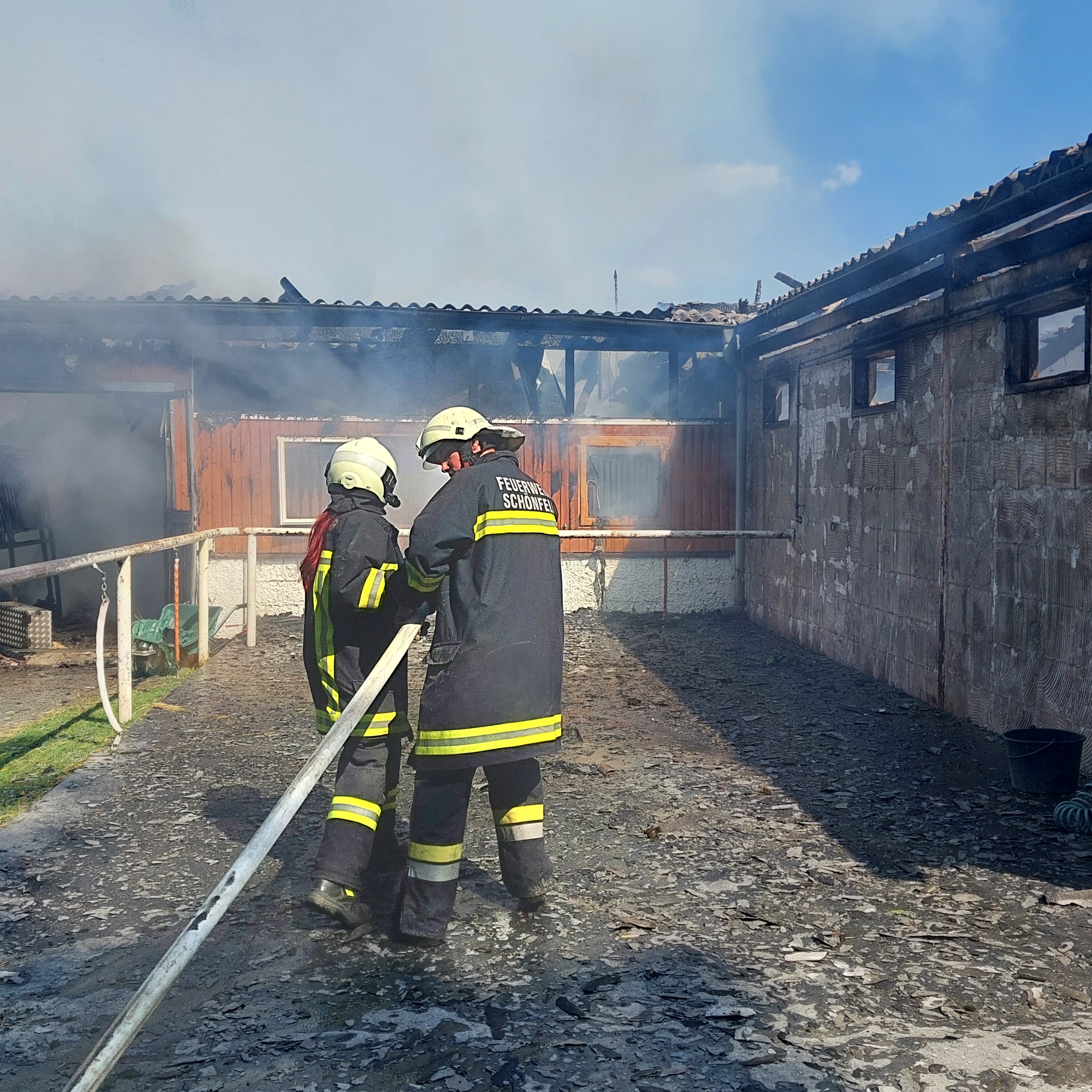 Bei einem Brand eines Reitstalls in Niederösterreich wurden 30 Pferde gerettet.