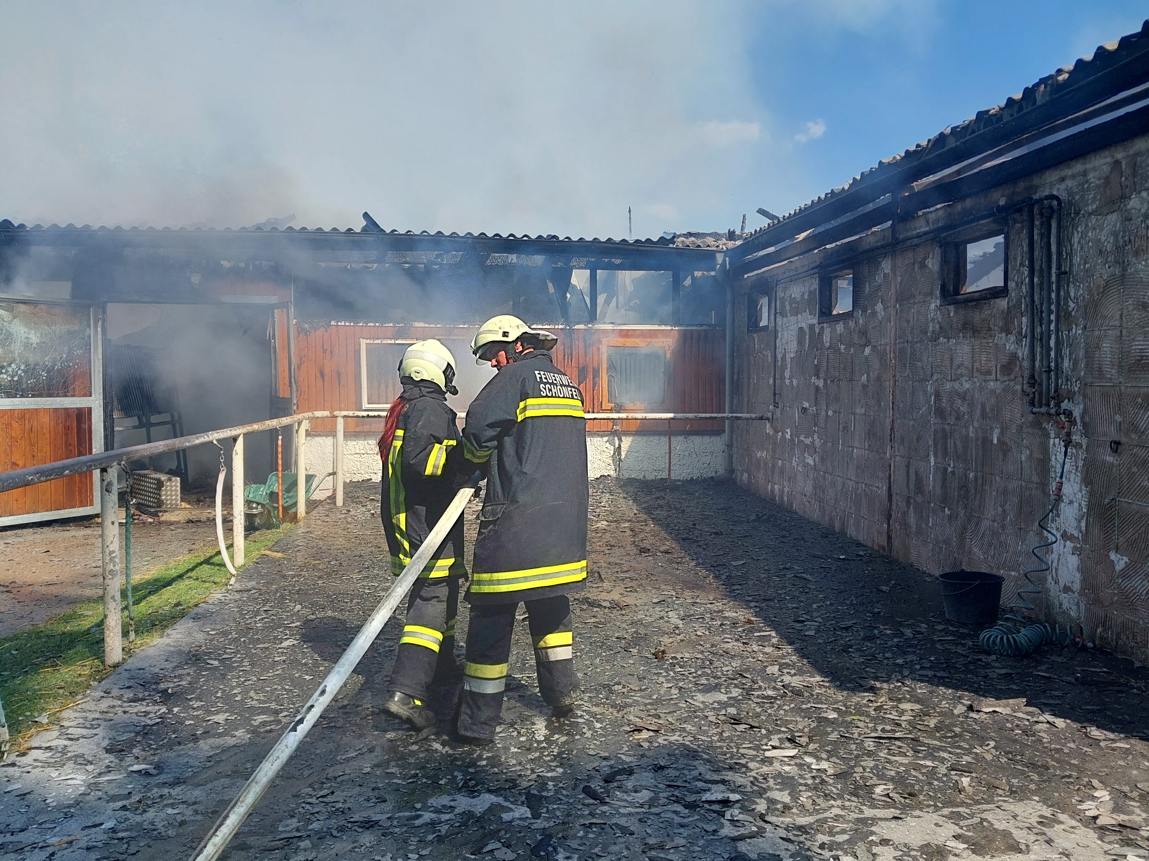 Bei einem Brand eines Reitstalls in Niederösterreich wurden 30 Pferde gerettet. Bei einem Brand eines Reitstalls in Niederösterreich wurden 30 Pferde gerettet.