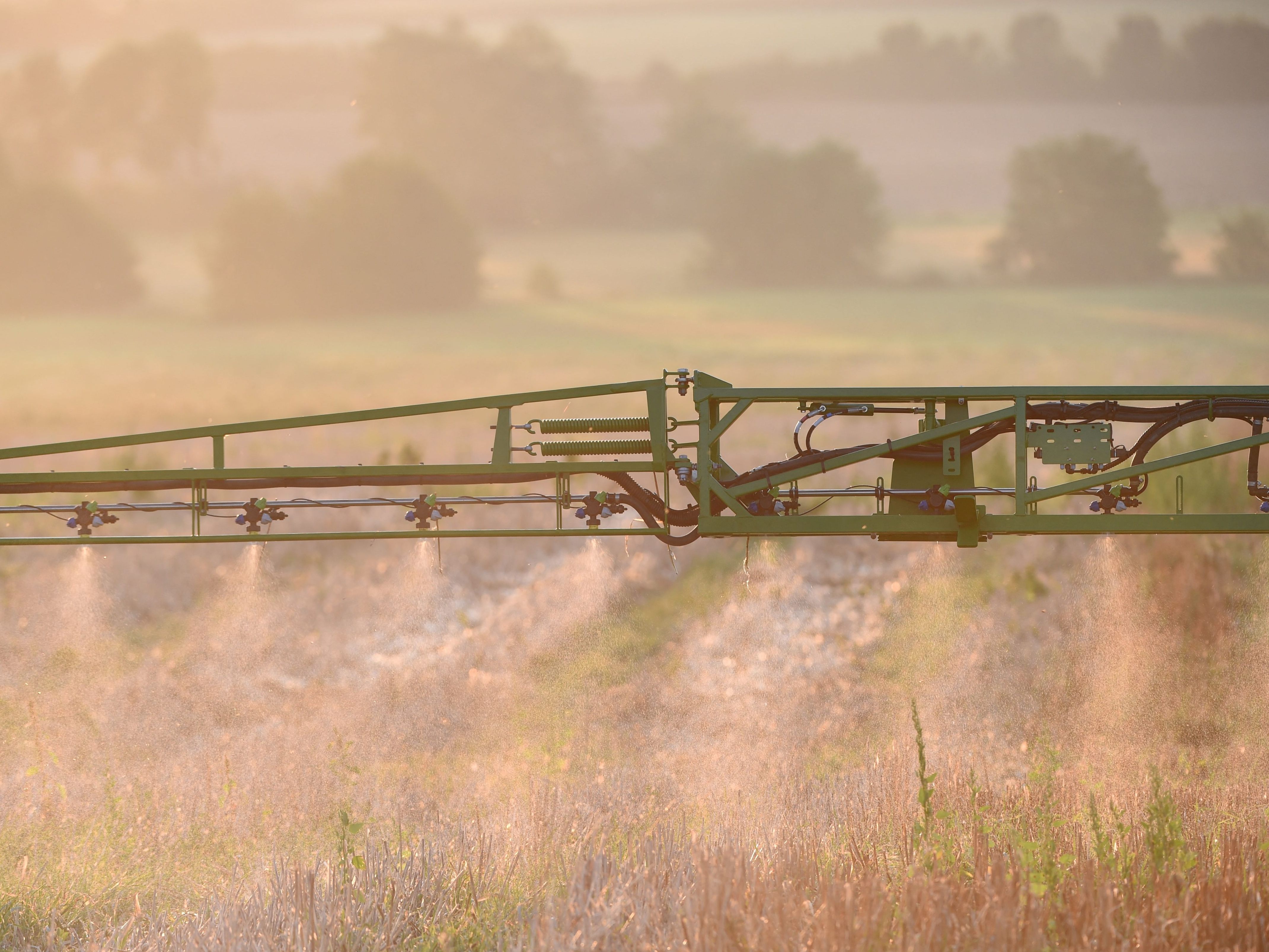 Glyphosat könnte in der EU neu zugelassen werden. Glyphosat könnte in der EU neu zugelassen werden.