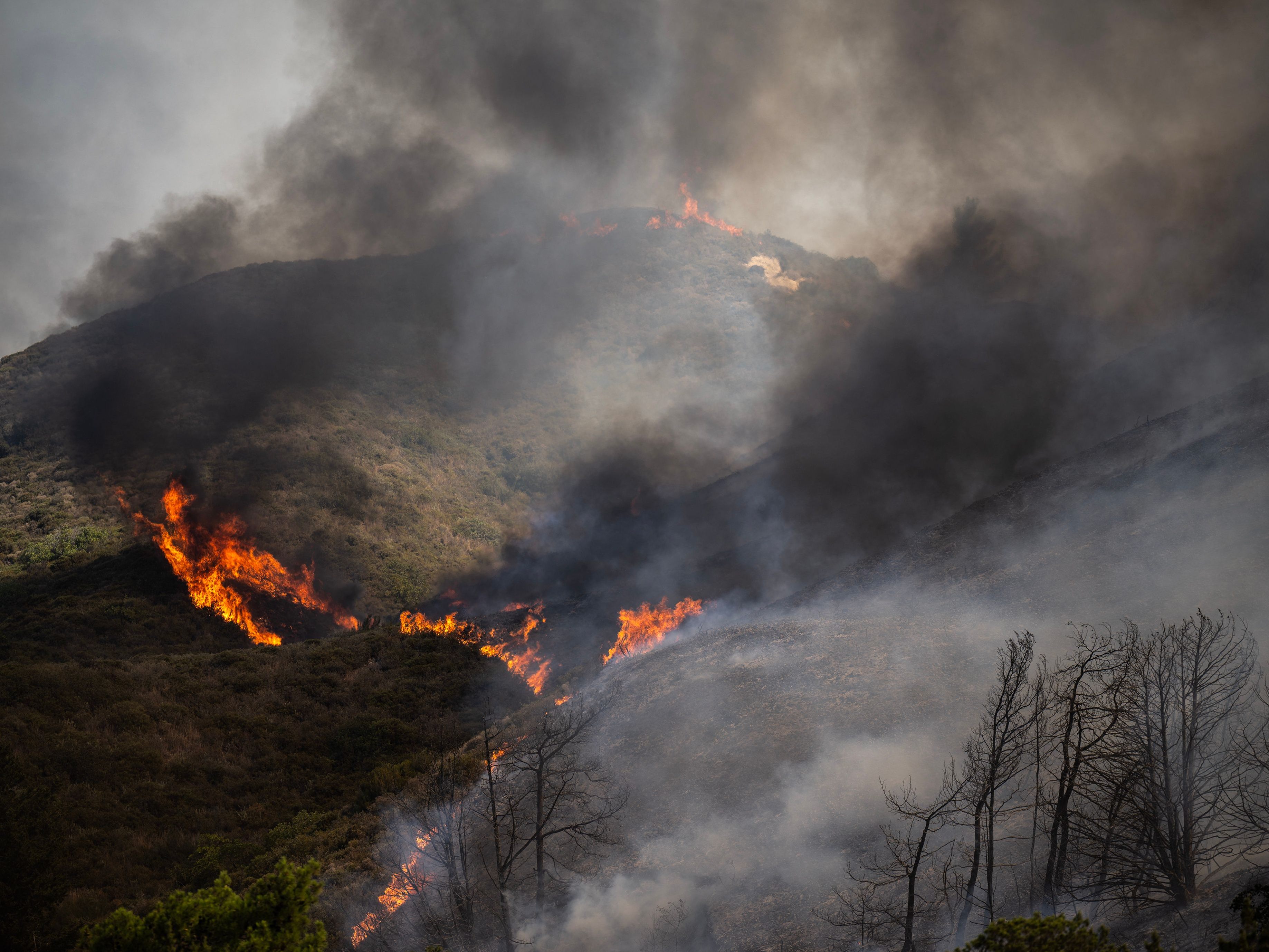 Auf der griechischen Insel Rhodos zerstörte ein Waldbrand rund 150 Quadratmeter Fläche.