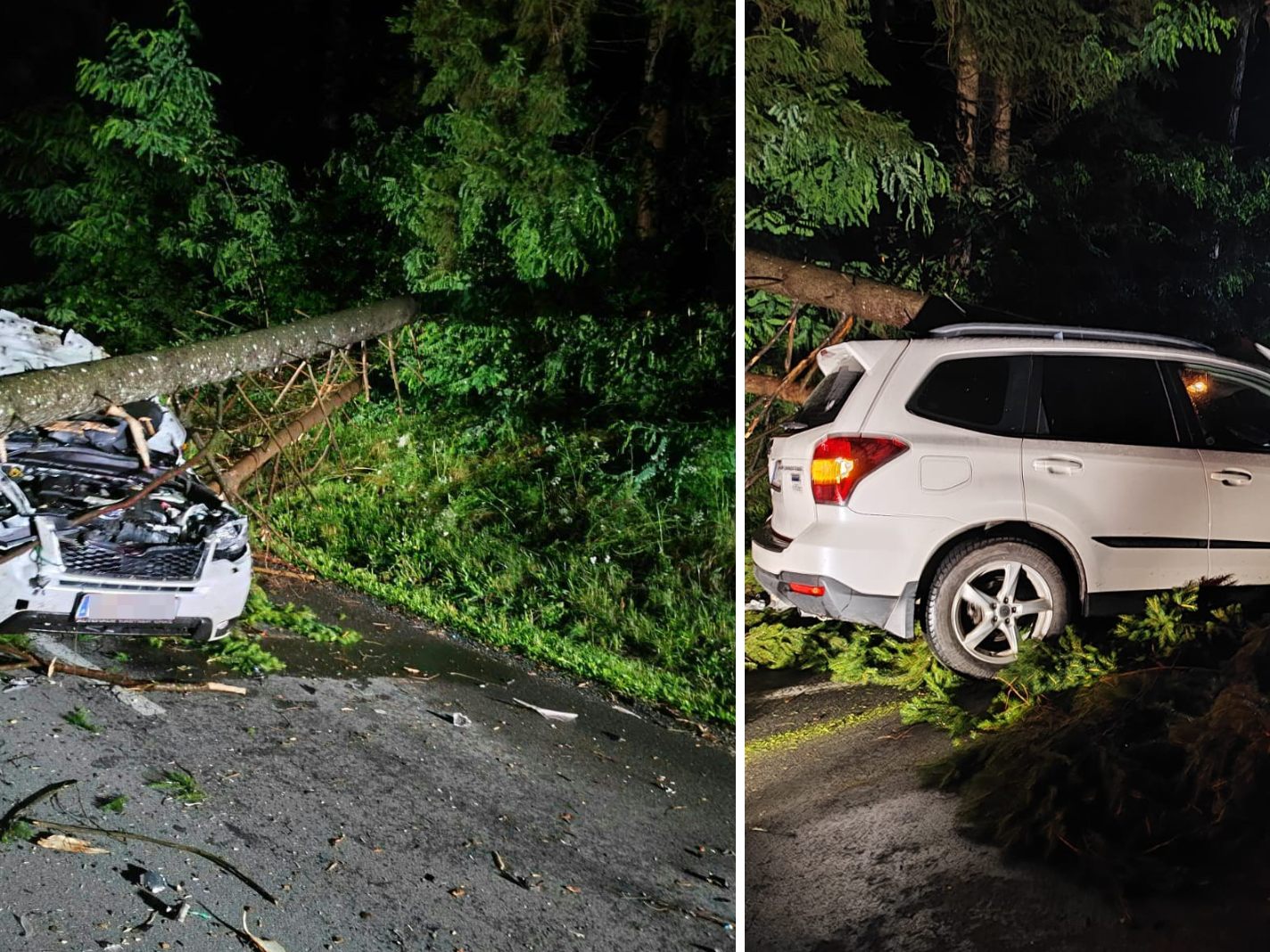 In Kärnten wurden zwei Autos von Bäumen getroffen. In Kärnten wurden zwei Autos von Bäumen getroffen.