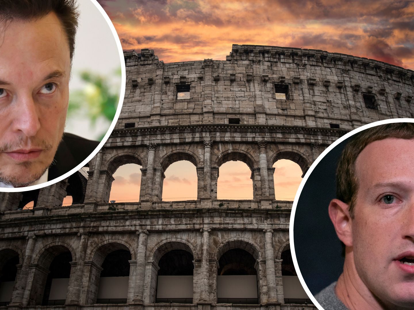 Treten Musk und Zuckerberg im Kolosseum gegeneinander an?