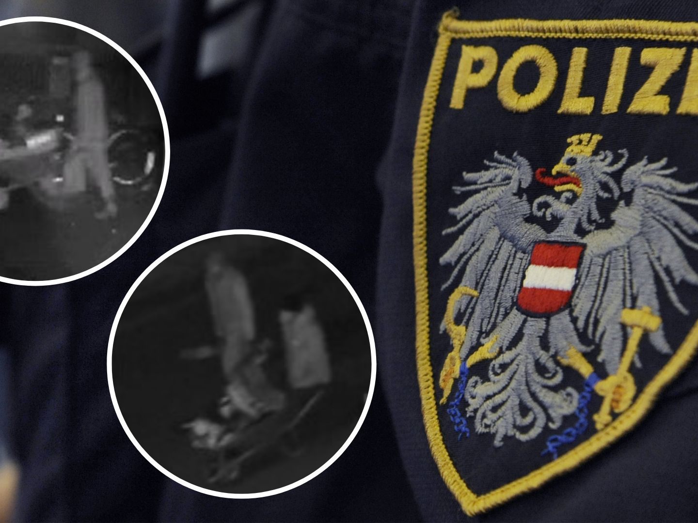 Die "Scheibtruhenbande" schlug über 200 Mal zu.
