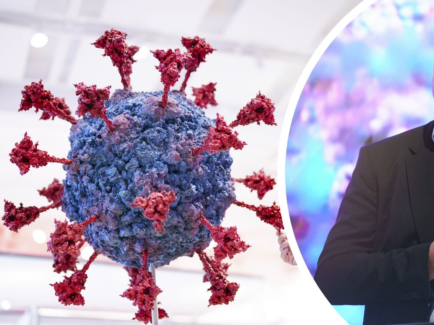 Eine neue Wissensstation im Wiener NHM beschäftigt sich mit dem Coronavirus.