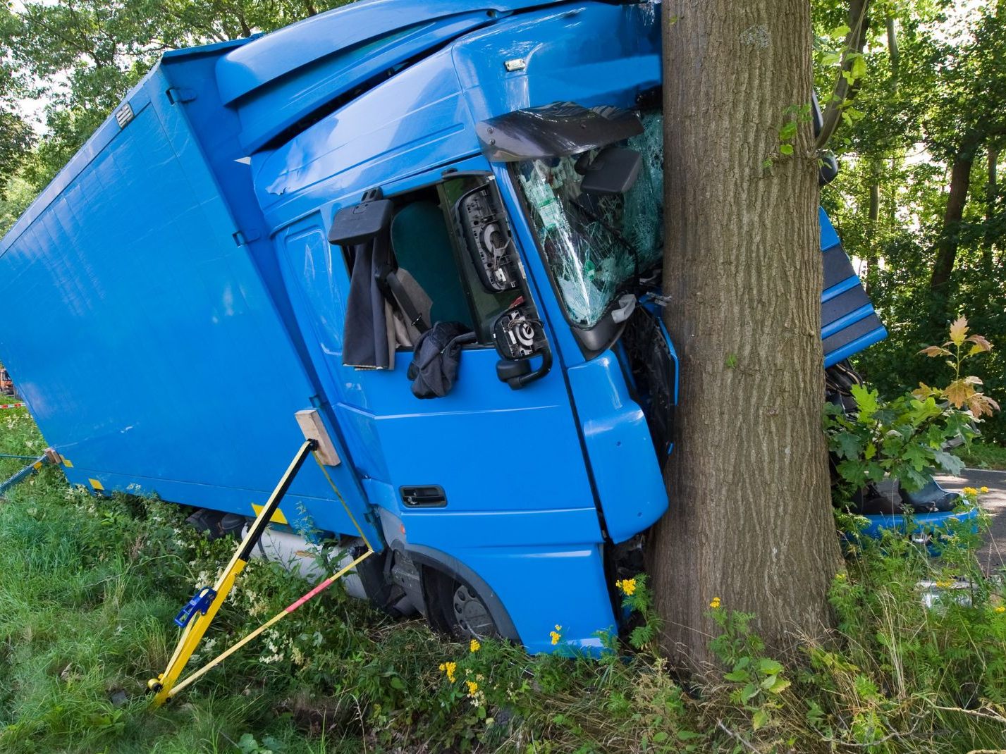 Ein Klein-Lkw krachte in der Nacht auf Dienstag in Niederösterreich in einen Baum.