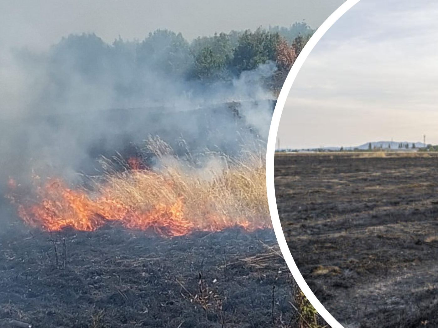 Der Waldbrand nahe Wien könnte drei mögliche Auslöser gehabt haben. Der Waldbrand nahe Wien könnte drei mögliche Auslöser gehabt haben.