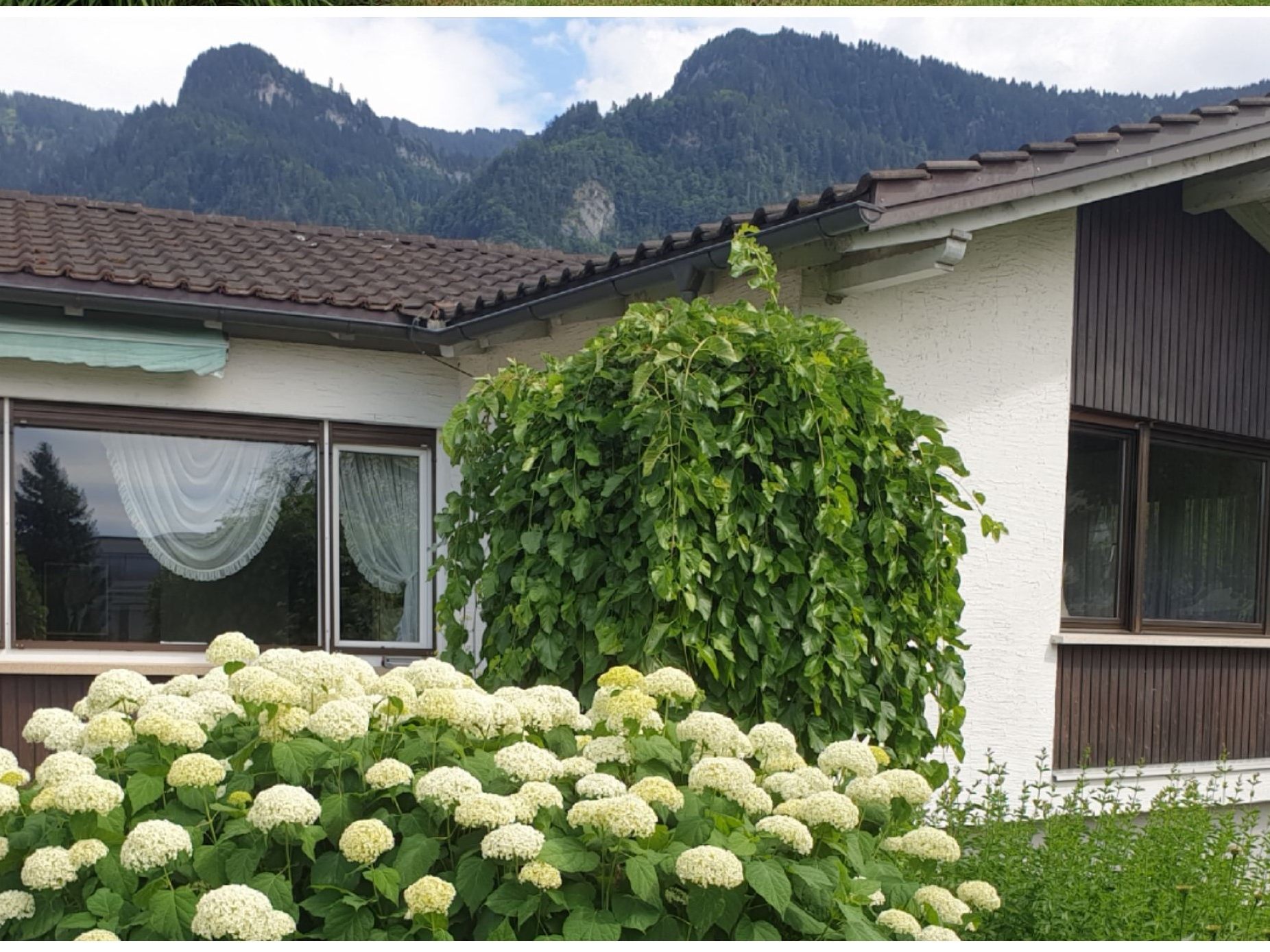 Kindergartenhaus "Sunnahüsle" Kindergartenhaus "Sunnahüsle"