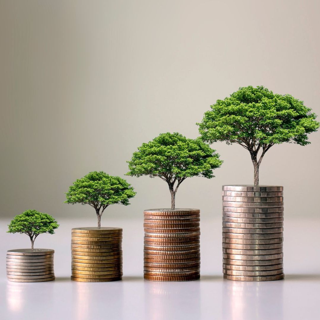 Der Trend zur grünen Geldanlage setzte sich auch 2022 weiter fort in Österreich.