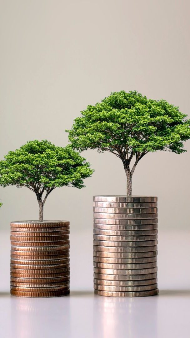 Der Trend zur grünen Geldanlage setzte sich auch 2022 weiter fort in Österreich.