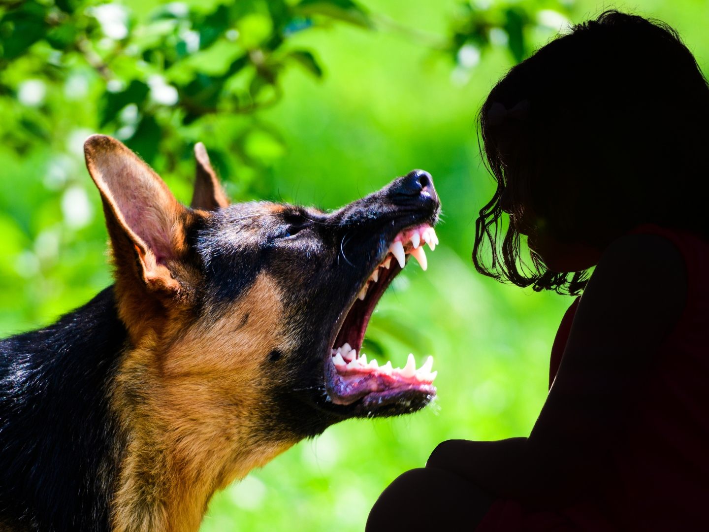 Mädchen (6) wurde von Hund gebissen.